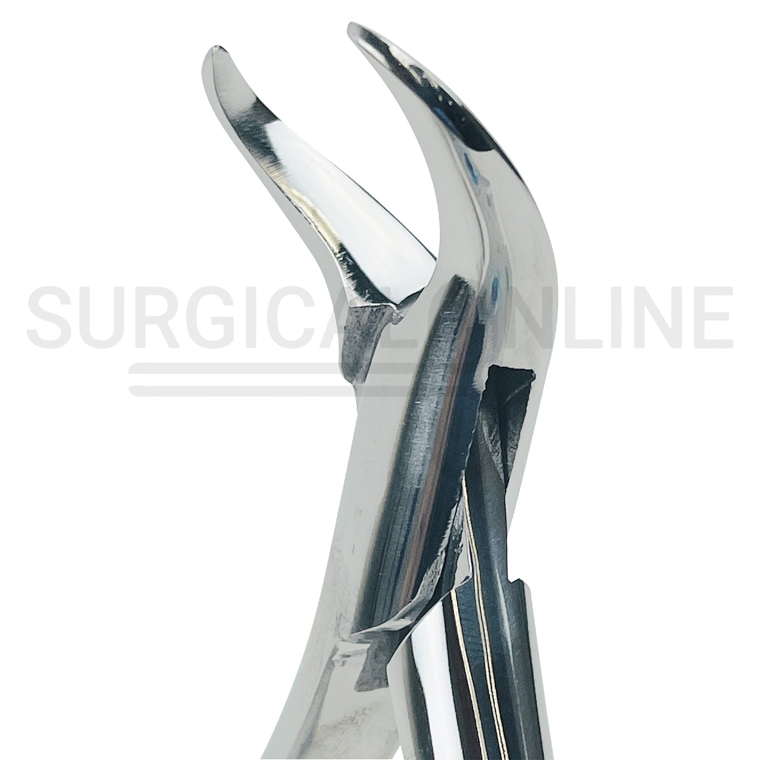 American Pattern Dental Extracting Forceps No. 16S