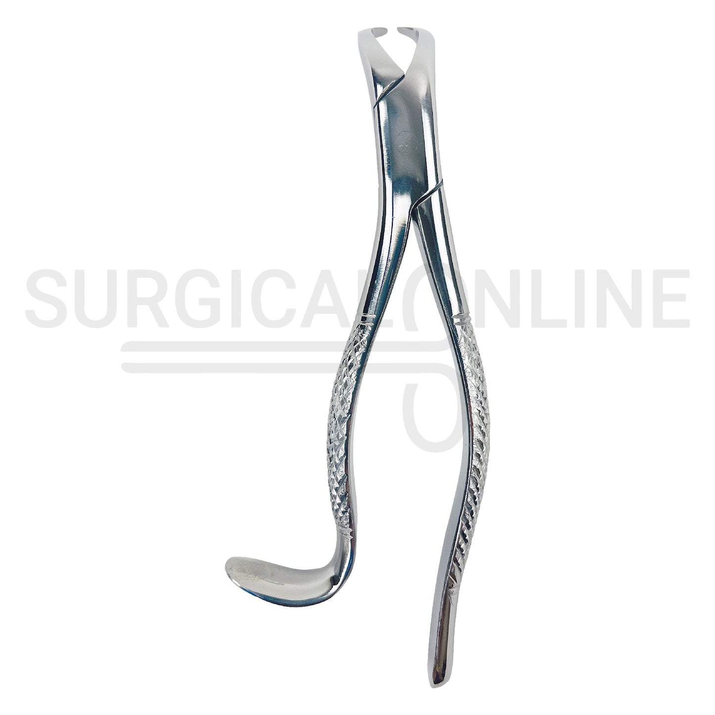 American Pattern Dental Extracting Forceps No. 16S