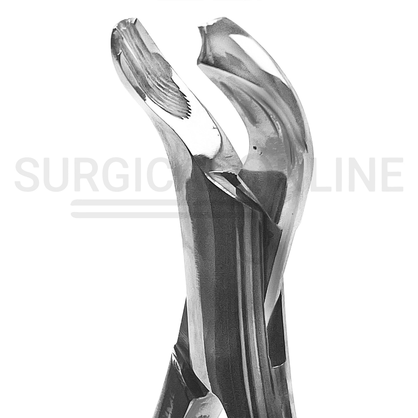 American Extracting Forceps No. 17