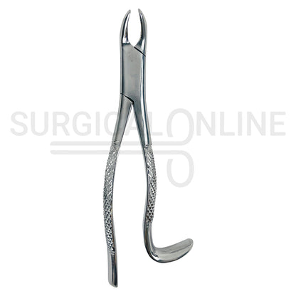 American Pattern Dental Extraction Forceps #18L