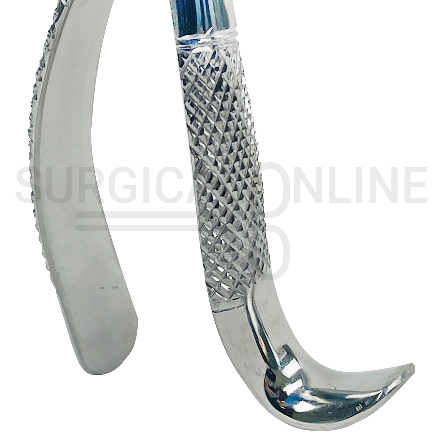 American Pattern Dental Extraction Forceps #18L