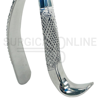 American Pattern Dental Extraction Forceps #18L