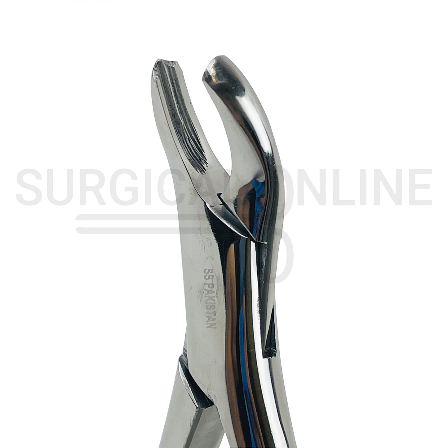 American Pattern Dental Extraction Forceps #18R