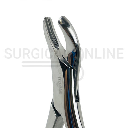 American Pattern Dental Extraction Forceps #18R