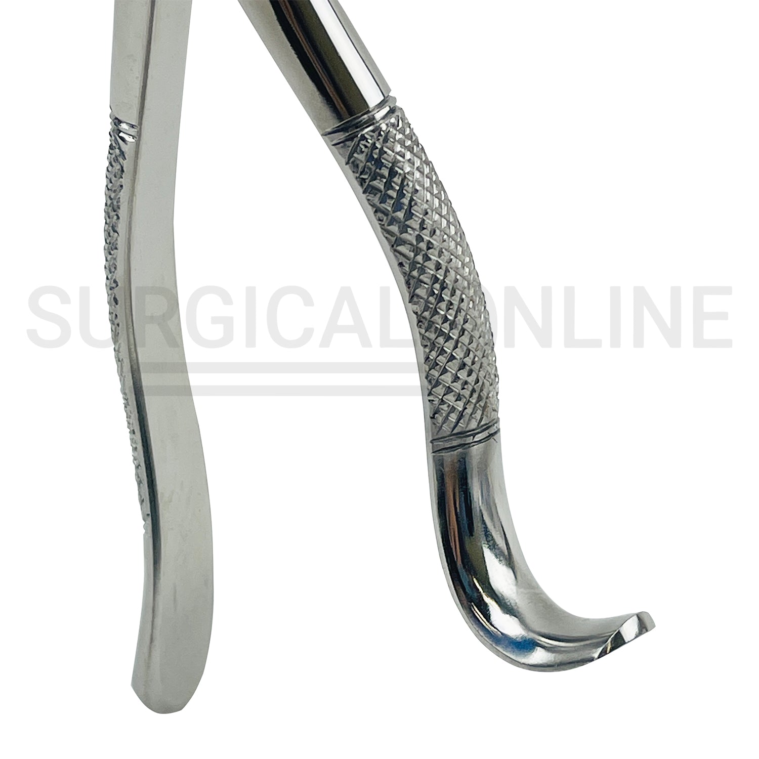 American Pattern Dental Extraction Forceps #18R