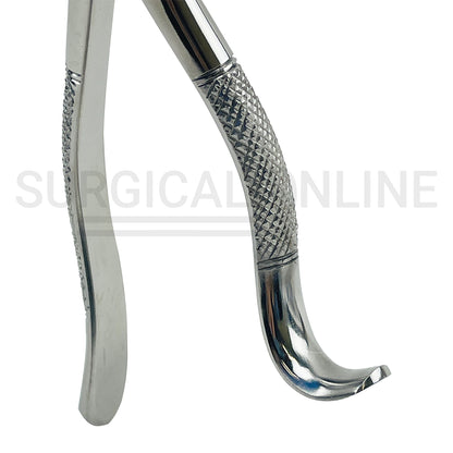 American Pattern Dental Extraction Forceps #18R