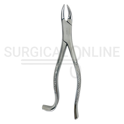 American Pattern Dental Extraction Forceps #18R