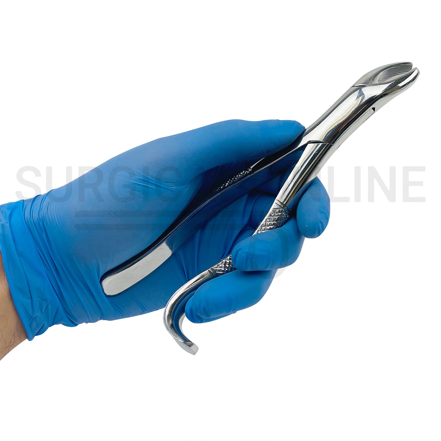 American Pattern Dental Extraction Forceps #18R