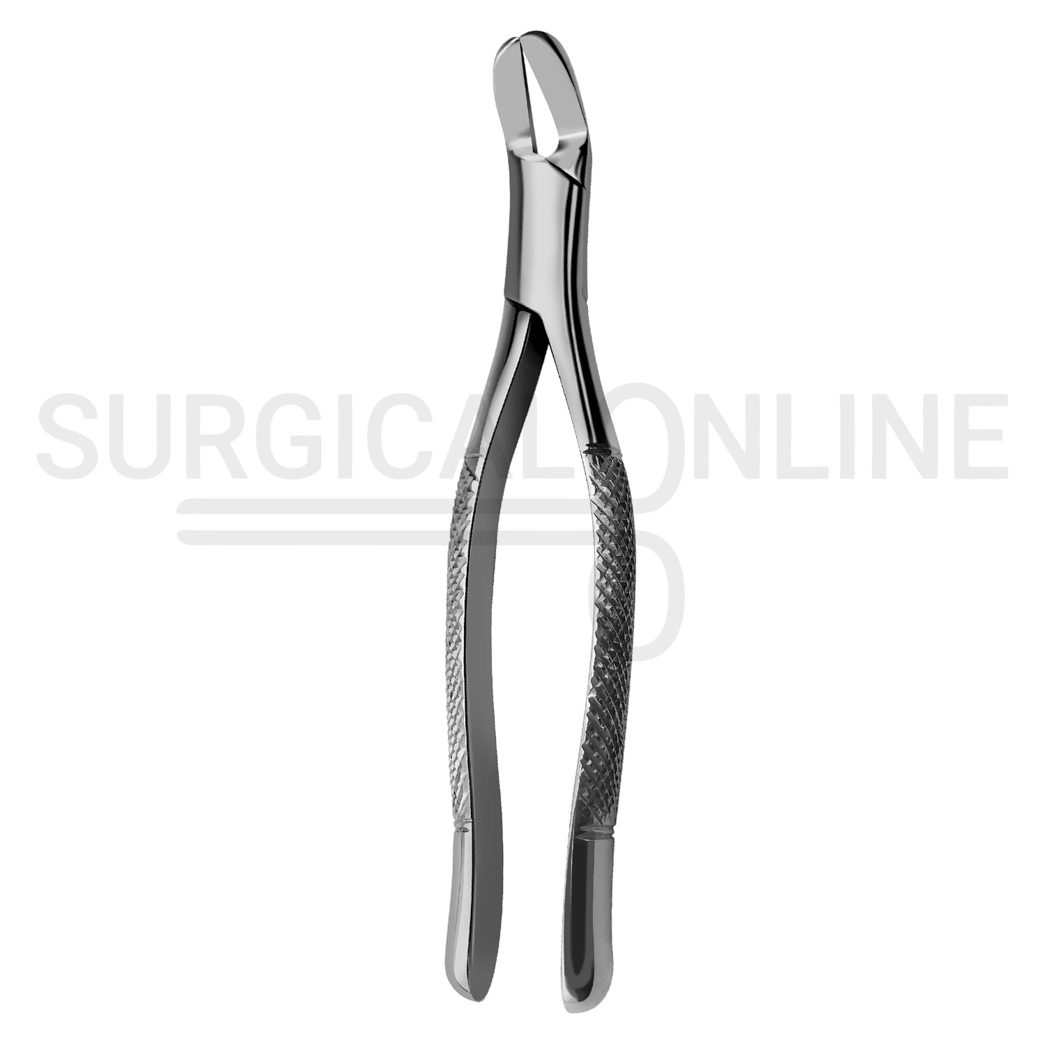 American Pattern Dental Extracting Forceps No. 6