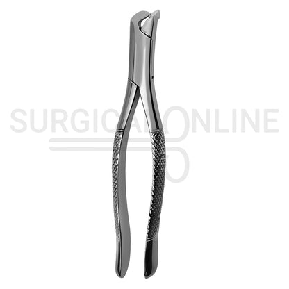 American Pattern Dental Extracting Forceps No. 6