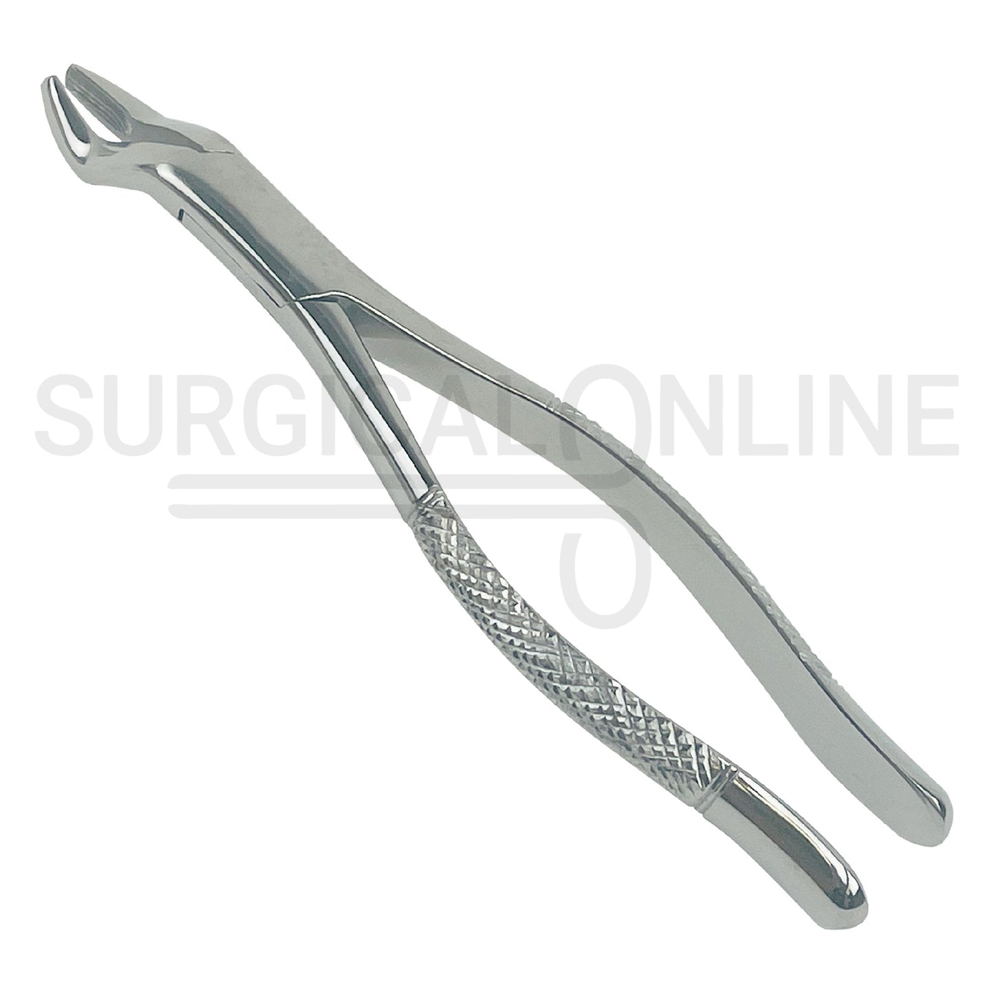 American Extracting Forceps No. 10S