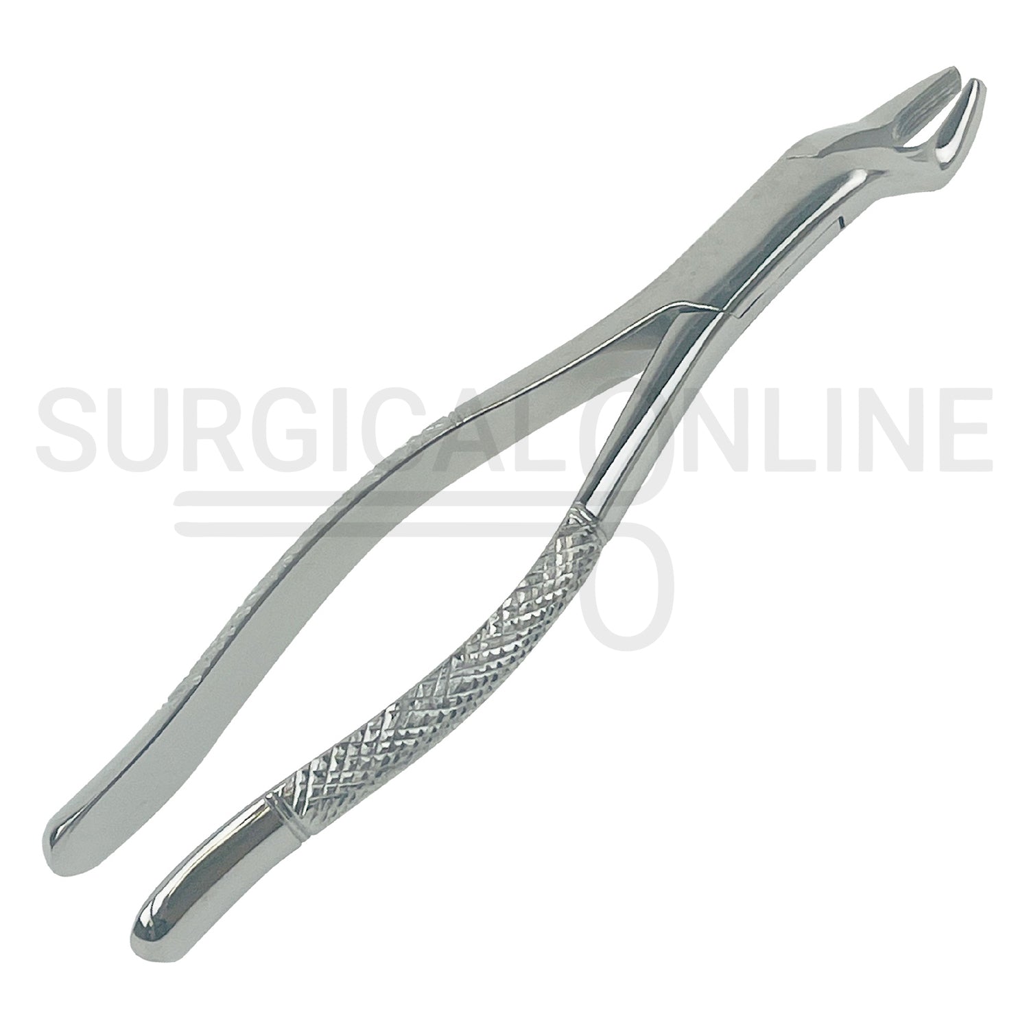 American Extracting Forceps No. 10S