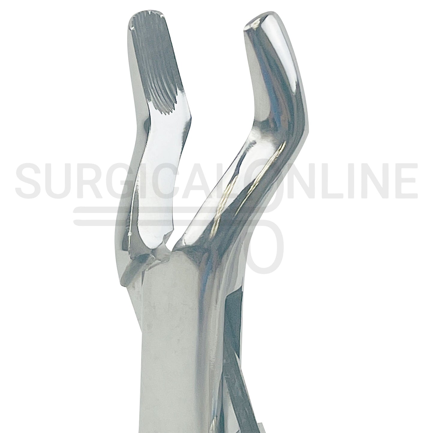 American Extracting Forceps No. 10S