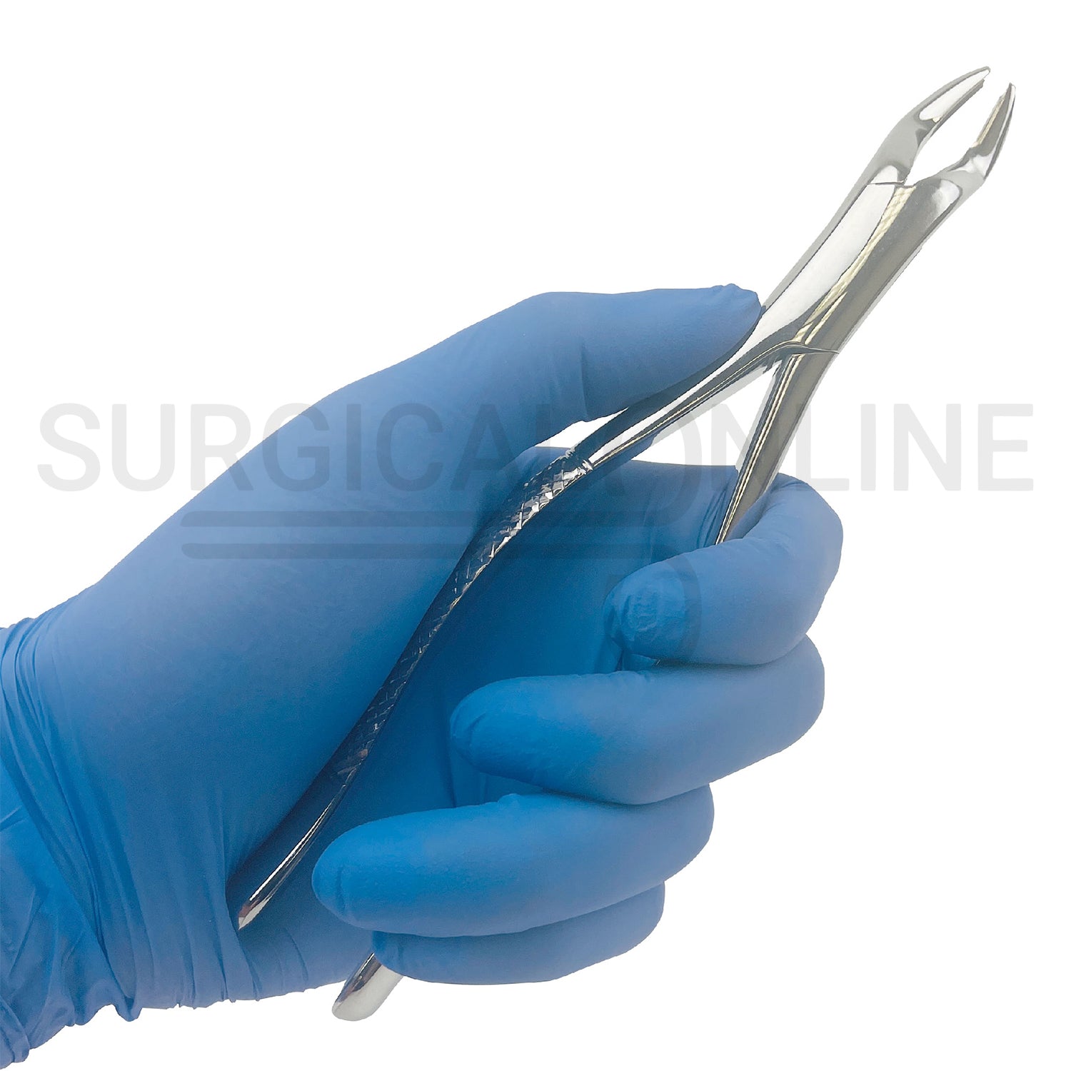American Extracting Forceps No. 10S
