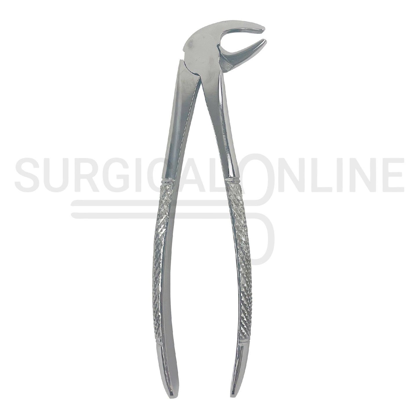 English Pattern Dental Extracting Forceps No. 13