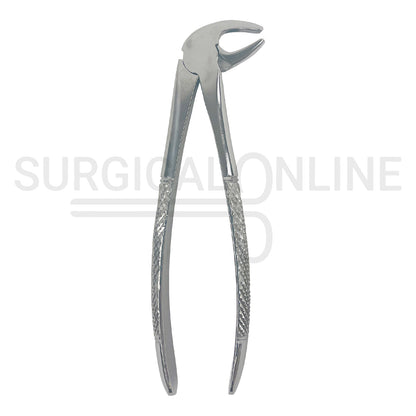 English Pattern Dental Extracting Forceps No. 13