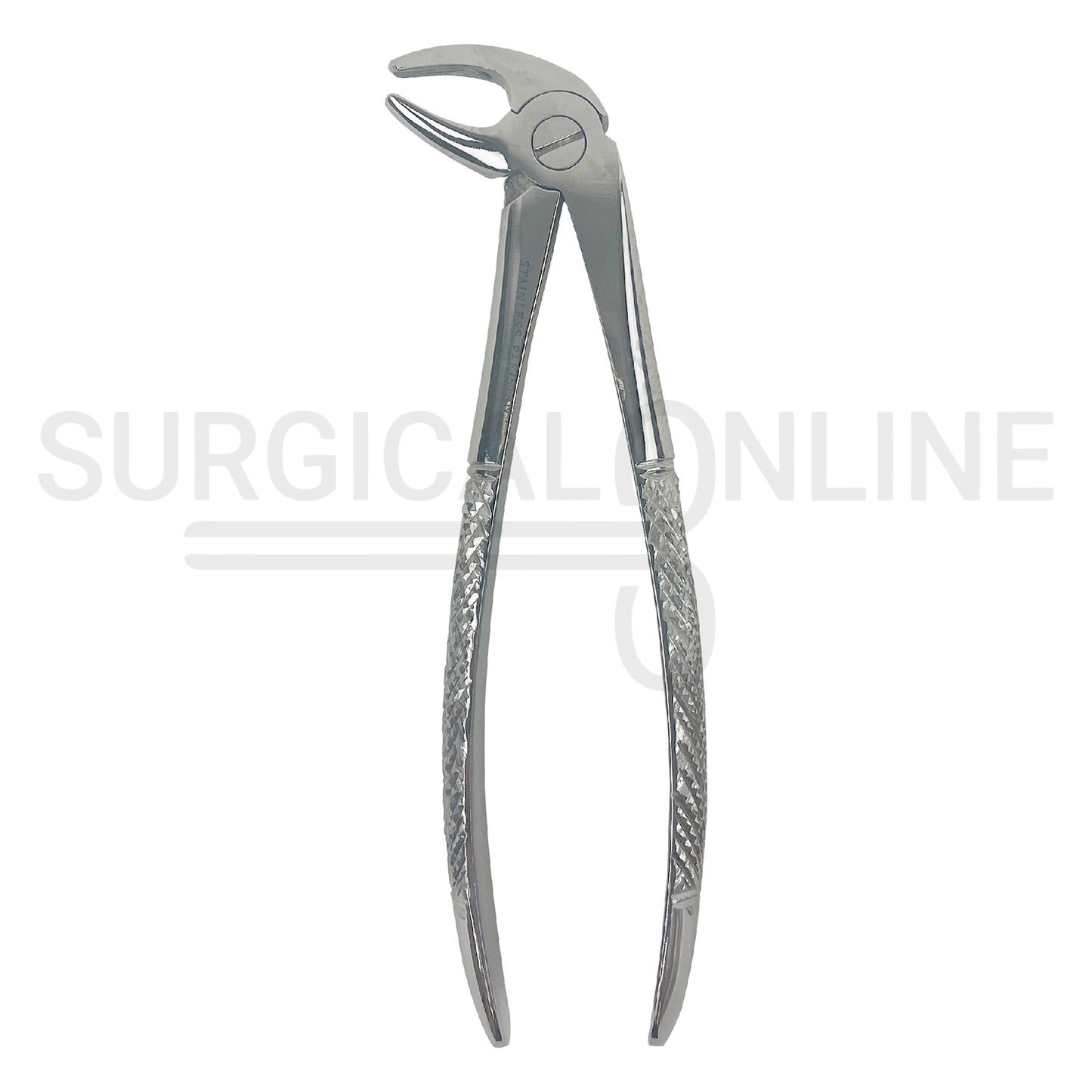 English Pattern Dental Extracting Forceps No. 13