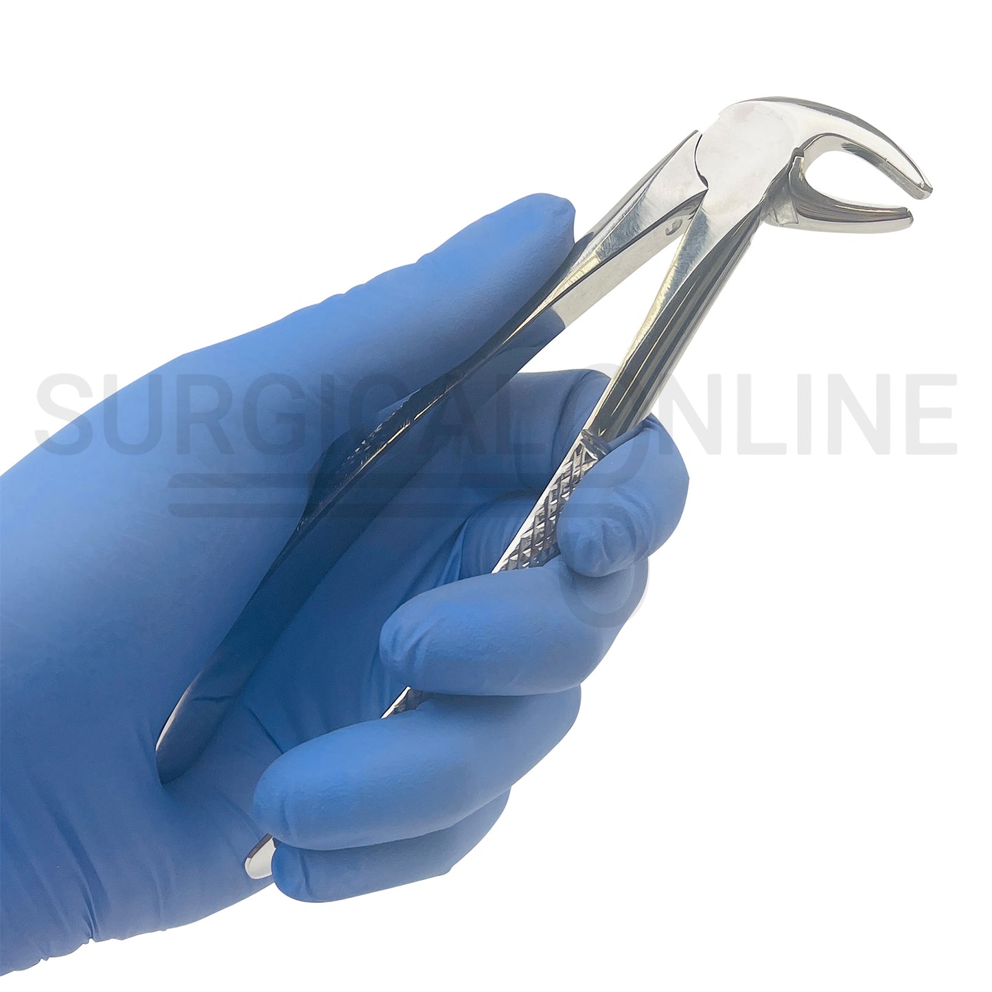 English Pattern Dental Extracting Forceps No. 13