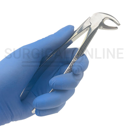 English Pattern Dental Extracting Forceps No. 13