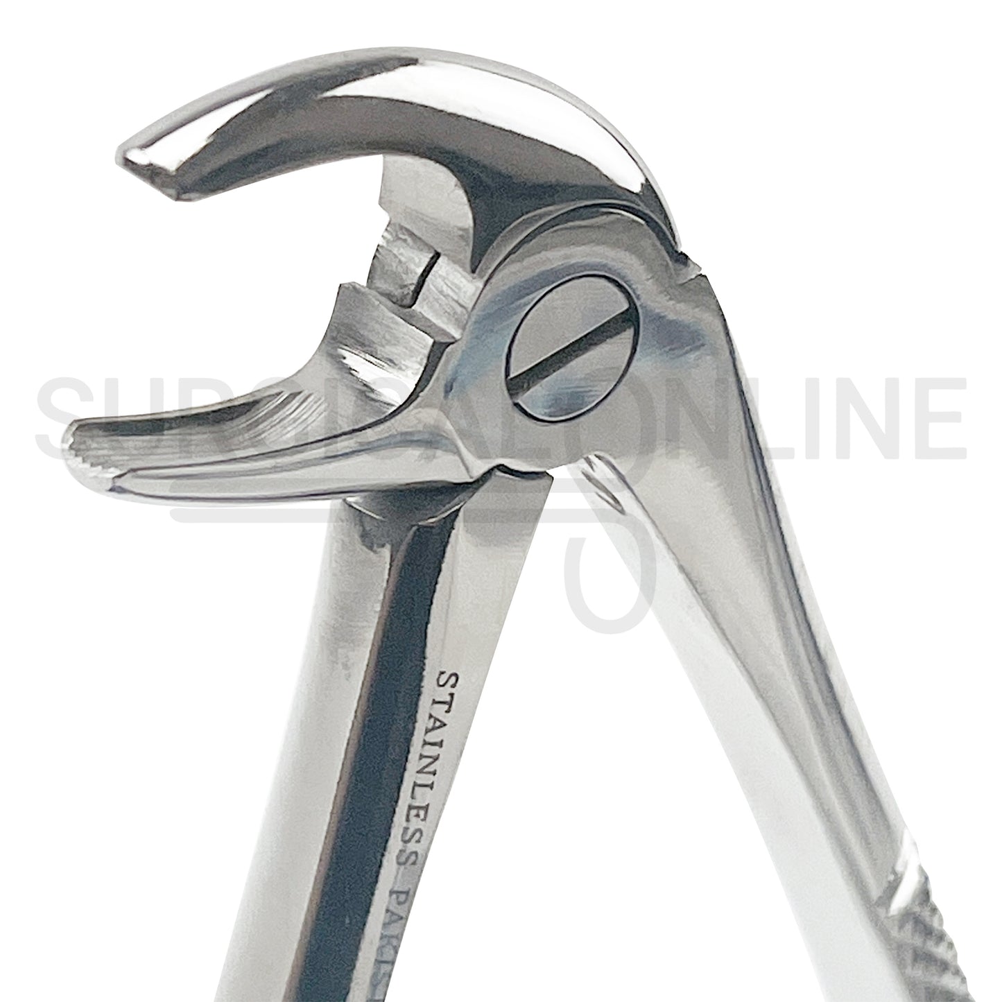 English Pattern Dental Extracting Forceps No. 13