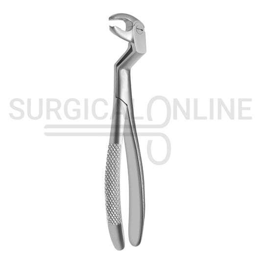 English Extracting Forceps No. 22.5L
