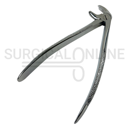 English Pattern Extracting Forceps #22
