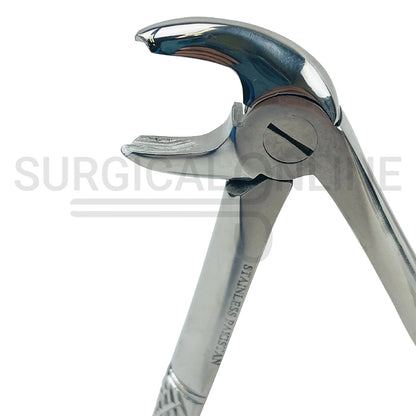 English Pattern Extracting Forceps #22