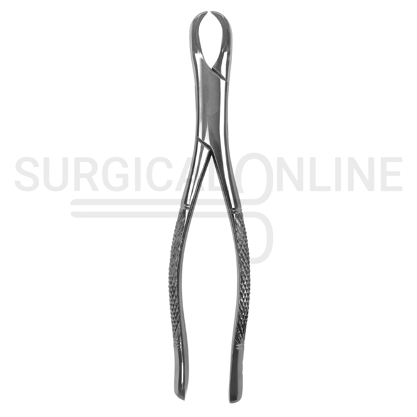 American Pattern Universal Extraction Forceps #23