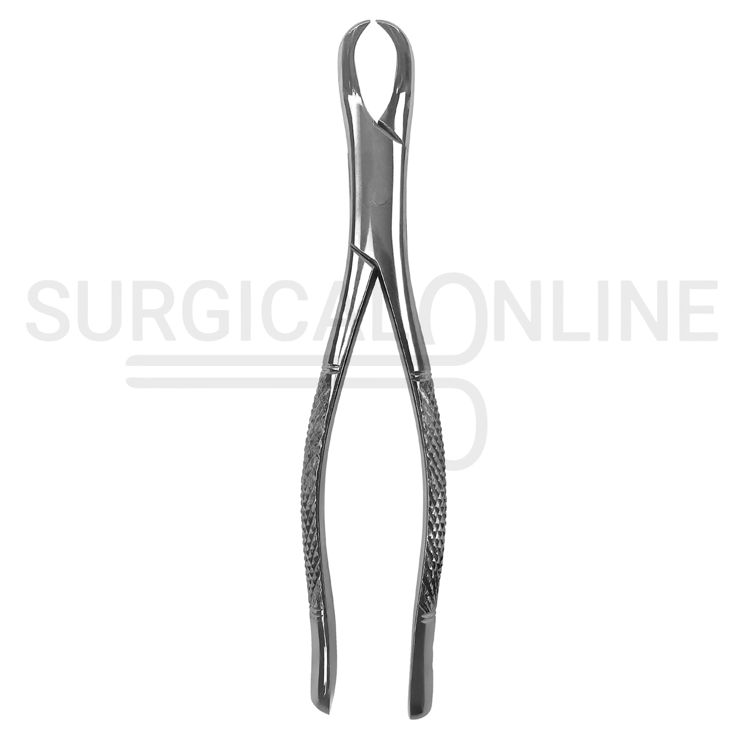 American Pattern Universal Extraction Forceps #23