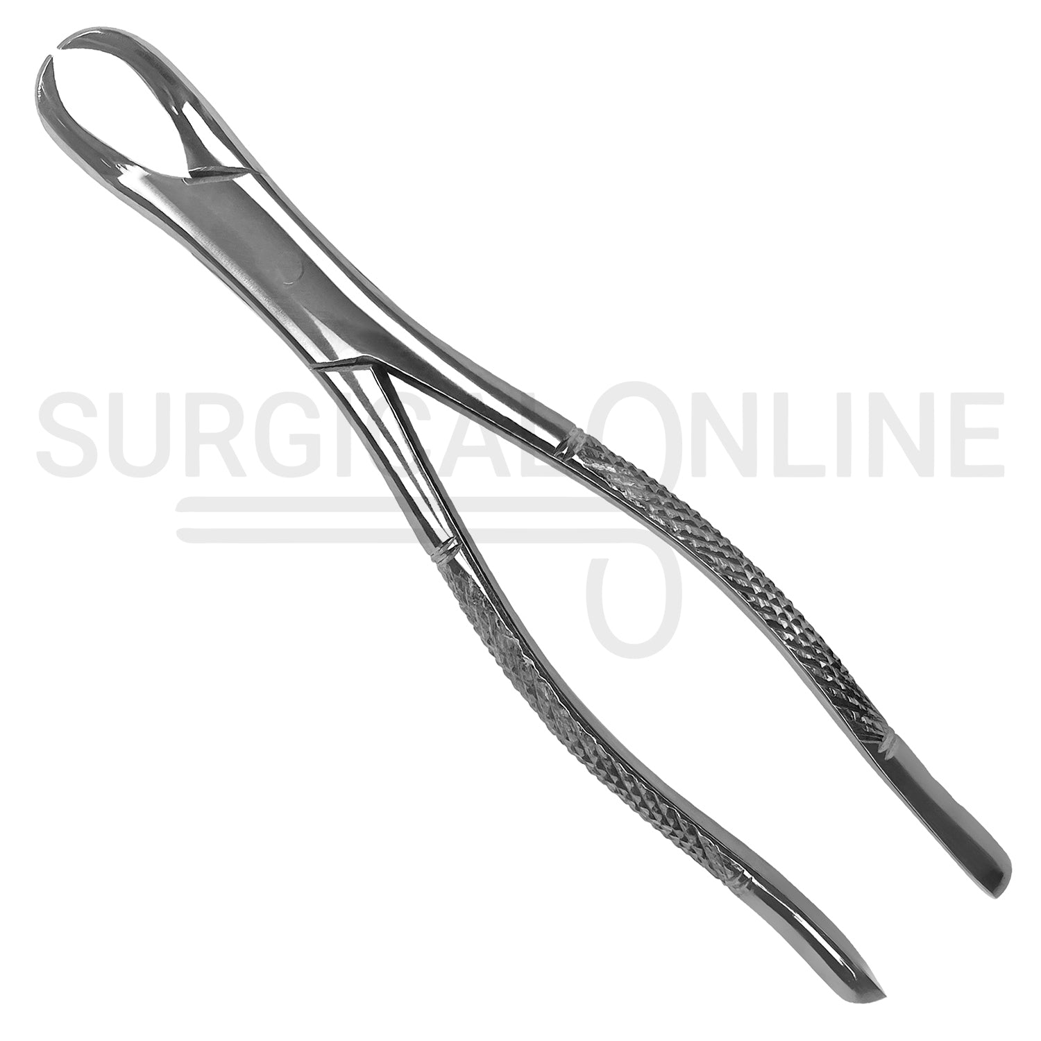 American Pattern Universal Extraction Forceps #23