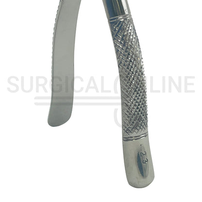 American Pattern Universal Extraction Forceps #23