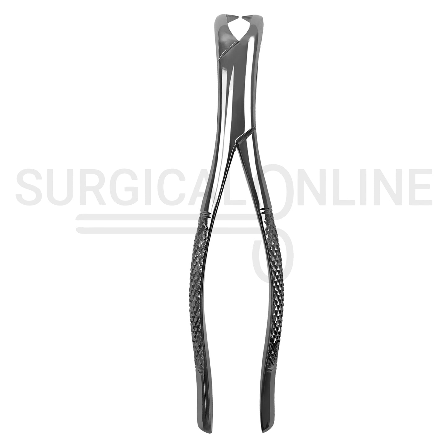 American Pattern Universal Extraction Forceps #23